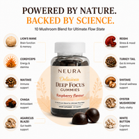 Delicious Deep Focus Gummies for Entrepreneurs